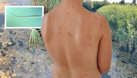 Das folgenreiche Ergebnis eines Badebesuchs der Enkelin des Pächters an der Seeschlacht: knapp ...