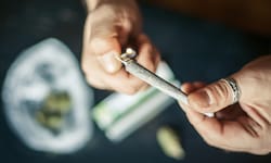 Cannabis-Blüten mit einem geringen THC-Gehalt sind in Österreich legal.