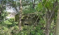 In Kühnsdorf unweit der Leitgeb-Fabrik stehen noch immer alte Bunkeranlagen aus der Kriegszeit.