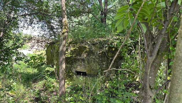 In Kühnsdorf unweit der Leitgeb-Fabrik stehen noch immer alte Bunkeranlagen aus der Kriegszeit.