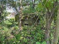 In Kühnsdorf unweit der Leitgeb-Fabrik stehen noch immer alte Bunkeranlagen aus der Kriegszeit.
