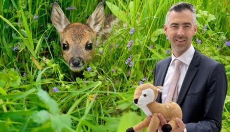 Jedes Jahr sterben unzählige Rehkitze während dem Mähvorgang. Der Tierschutzsprecher der NEOs ...