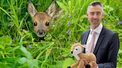 Jedes Jahr sterben unzählige Rehkitze während dem Mähvorgang. Der Tierschutzsprecher der NEOs ...