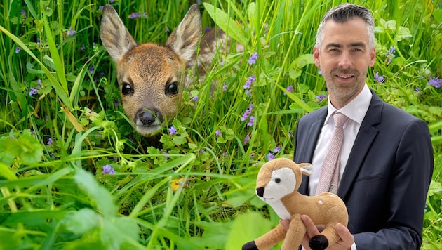 Jedes Jahr sterben unzählige Rehkitze während dem Mähvorgang. Der Tierschutzsprecher der NEOs ...