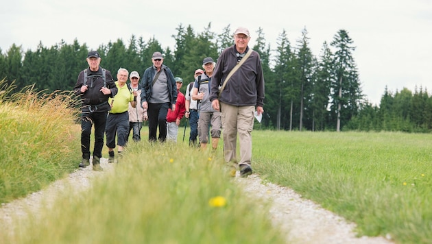 Bert Höllinger geht voran. Der Wanderführer überlegt sich jede Woche eine neue Route. 10.000 km ...