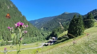 Der Blick ins hintere Silbertal, im Vordergrund ist das urige Berggasthaus „Hasahüsli“ zu sehen.