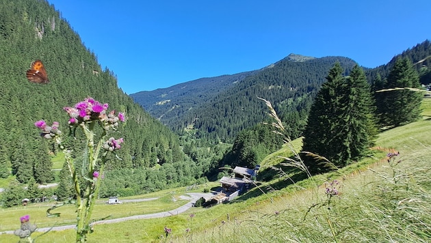 Der Blick ins hintere Silbertal, im Vordergrund ist das urige Berggasthaus „Hasahüsli“ zu sehen.