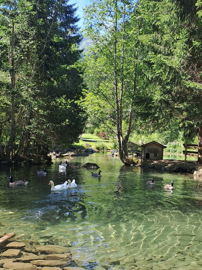 Gänseteich im Silbertal.