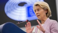 Ursula von der Leyen hat im EU-Parlament einen Misstrauensantrag gegen ihre Person überstanden.
