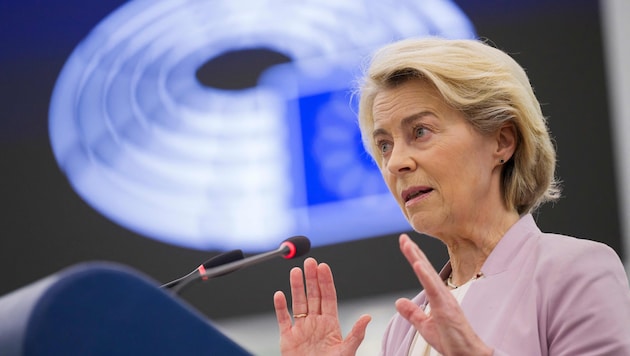 Ursula von der Leyen hat im EU-Parlament einen Misstrauensantrag gegen ihre Person überstanden.