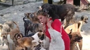 Ayse Özdemir kämpft um das Leben von 500 Hunden.