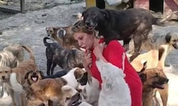 Ayse Özdemir kämpft um das Leben von 500 Hunden.