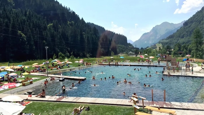 Badespaß inmitten der Alpen: In Klösterle liegt einer der schönsten Naturbadeteiche in ...