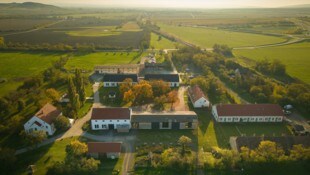 Die Ideen von Grün fallen rund um Eisenstadt und Donnerskirchen auf fruchtbaren Boden.