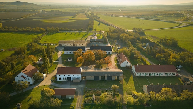 Die Ideen von Grün fallen rund um Eisenstadt und Donnerskirchen auf fruchtbaren Boden.