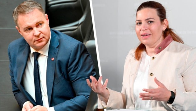 Nahm den Vizekanzler in die Mangel: Grünen-Abgeordnete Nina Tomaselli