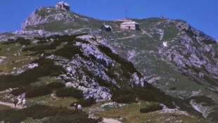 Dobratsch. Dort muss Almgrad nachgepflanzt werden