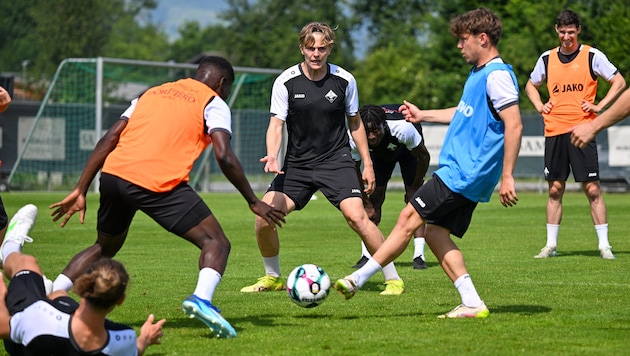 Wer schafft es in die Stammformation?