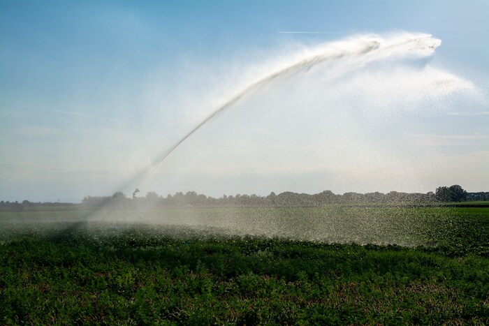 Ist es heiß, muss beregnet werden. Deshalb wurden die Bauern oft angefeindet. Vor allem, wenn ...