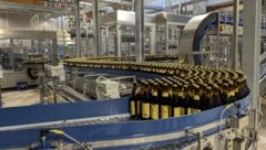Die neue Abfüllanlage soll pro Stunde 30.000 Flaschen schaffen. Damit das klappt, wurden ...