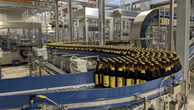 Die neue Abfüllanlage soll pro Stunde 30.000 Flaschen schaffen. Damit das klappt, wurden ...