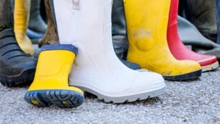 Verschiedene Schuhmodelle – darunter auch Stallstiefel – sollen bei den perversen Abriebtests ...