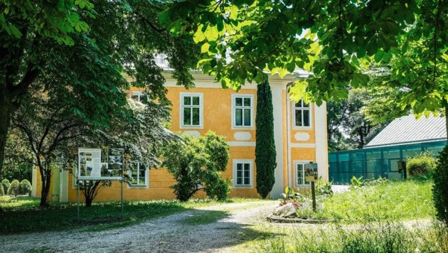 Die Stadt wird sich um einen neuen Pächter umsehen müssen. Die aktuellen Mieter im Bergschlössl ...