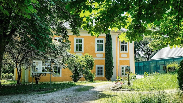 Die Stadt wird sich um einen neuen Pächter umsehen müssen. Die aktuellen Mieter im Bergschlössl ...