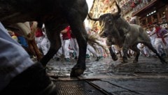 Der Stierlauf in Pamploma zieht Besucher aus aller Welt an. 