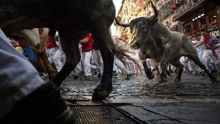 Der Stierlauf in Pamploma zieht Besucher aus aller Welt an. 