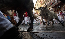 Der Stierlauf in Pamploma zieht Besucher aus aller Welt an. 