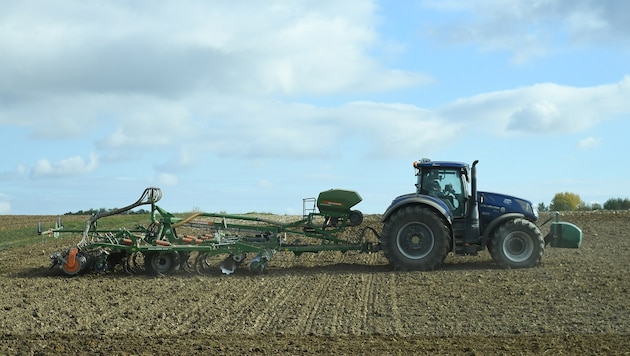 Besonders rund um die Erntezeit brauchen Landwirte Hilfe und stellen Mitarbeiter an – sie werden ...