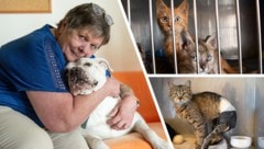 Tierheimleiterin Elisabeth Platzky mit „Knutschkugel“ Mara. Auch für sie wird noch ein nettes ...