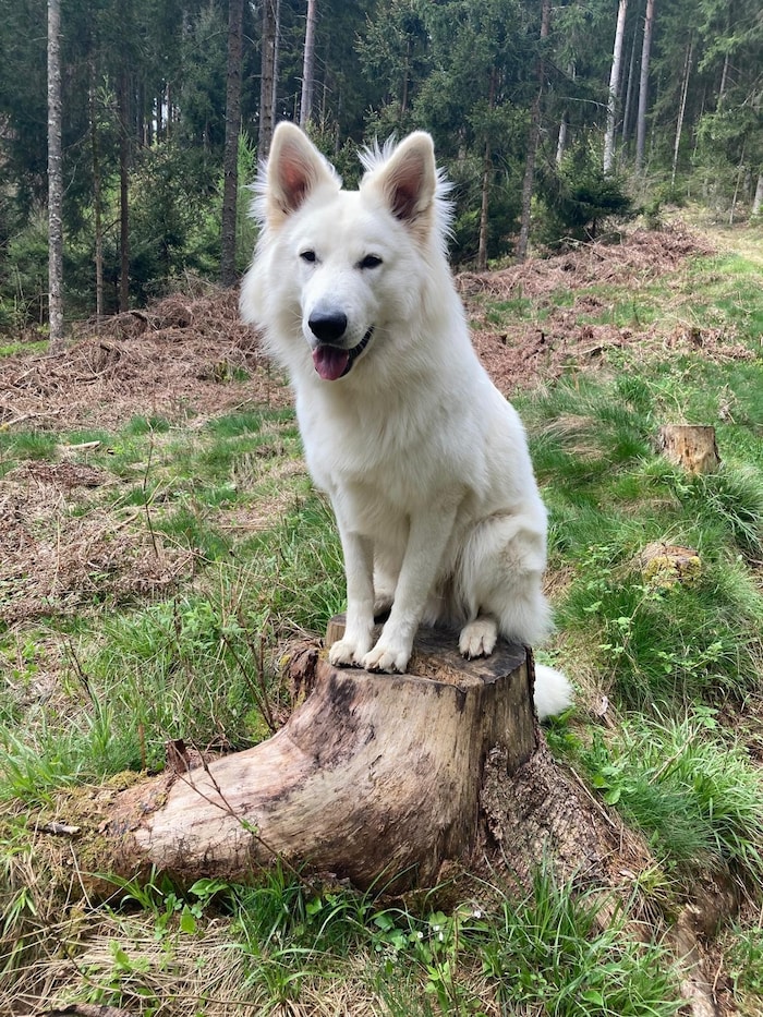 Das Duo genießt gemeinsame Ausflüge in die Natur.