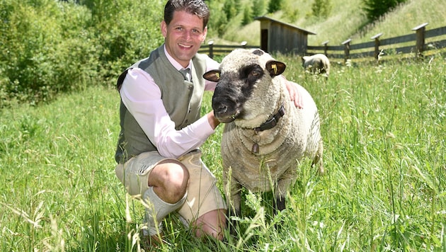 Bürgermeister Thomas Kößler mit wuscheligem Weidetier