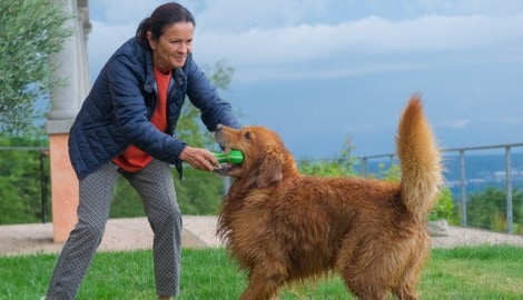 Irmgard Pavlik nimmt Hunde maximal drei Wochen auf