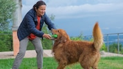 Irmgard Pavlik nimmt Hunde maximal drei Wochen auf