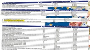 Die „Krone“ bringt die komplette Förder-Liste von 37.000 NGOs, die Geld weltweit bekommen.