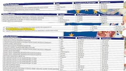 Die „Krone“ bringt die komplette Förder-Liste von 37.000 NGOs, die Geld weltweit bekommen.