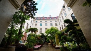 Dieser Hof sieht durchdesigned aus: So edel muss die Begrünung aber gar nicht ausfallen.