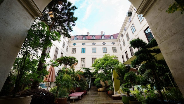Dieser Hof sieht durchdesigned aus: So edel muss die Begrünung aber gar nicht ausfallen.