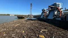 Mit diesem Schiffskran wird beim Kraftwerk Altenwörth die Donau von Unrat befreit.