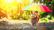 Eine Störungszone bringt am Vormittag des Mittwochs verbreitet dichte Wolken und Regen, ...