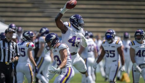 Jubel bei den Vienna Vikings