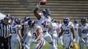 Jubel bei den Vienna Vikings