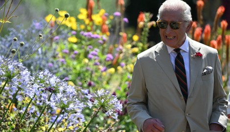 König Charles geht unter die Streaming-Stars: Ab Anfang 2026 soll eine Doku über seinen Einsatz ...