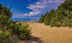 An einem Strand bei Montalto di Castro kam es zu dem Unglück.