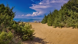 An einem Strand bei Montalto di Castro kam es zu dem Unglück. 