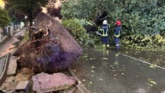 Einsatz nach dem schweren Unwetter in Pinkafeld. Die Feuerwehr musste umgestürzte Bäume von ...