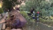 Einsatz nach dem schweren Unwetter in Pinkafeld. Die Feuerwehr musste umgestürzte Bäume von ...